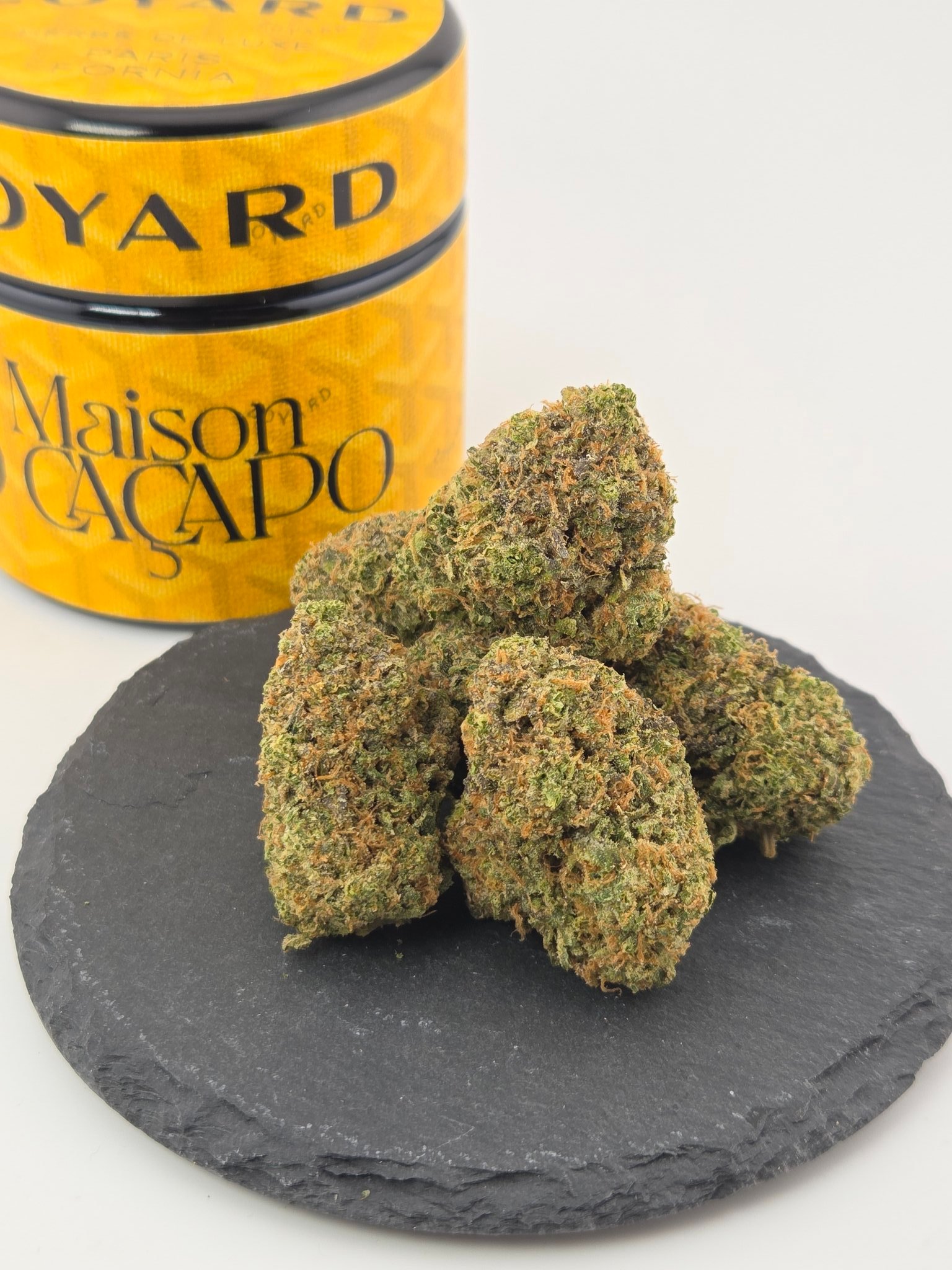 ZOYARD by Maison O Caçapo: Complete Guide to All Color Variants & Genetics