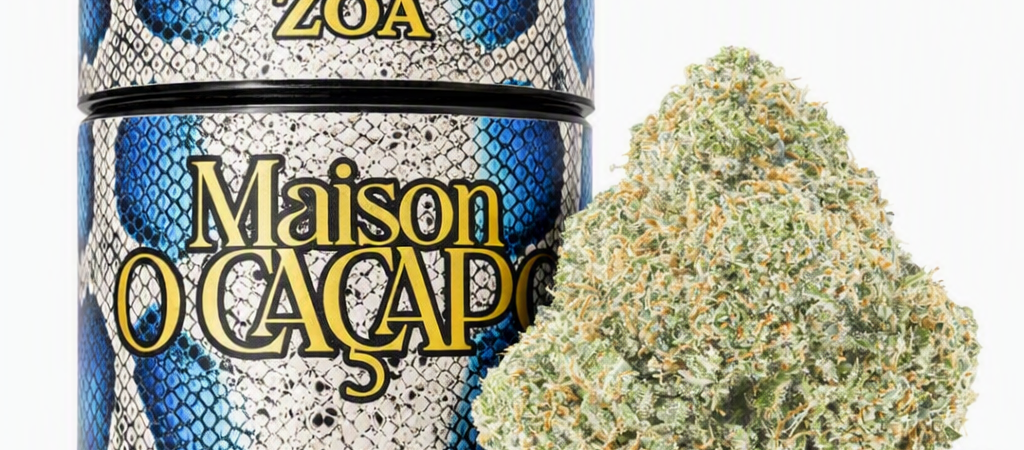 ZOA Strain Profile: Alien OG × Zkittlez | Maison O Cacapo
