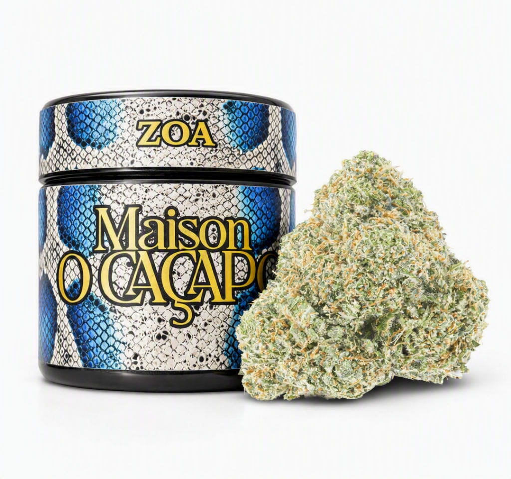 ZOA Strain Profile: Alien OG × Zkittlez | Maison O Cacapo