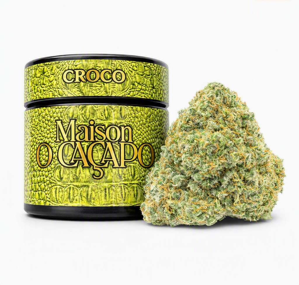 CROCO Strain Profile: Lemon Oz × Lemon Tree | Maison O Cacapo