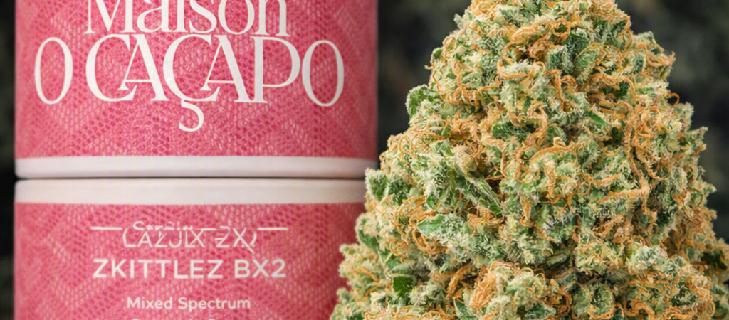 Pink Zoyard: (Zazul × Zkittlez) × Zkittlez BX2 | Maison O Cacapo