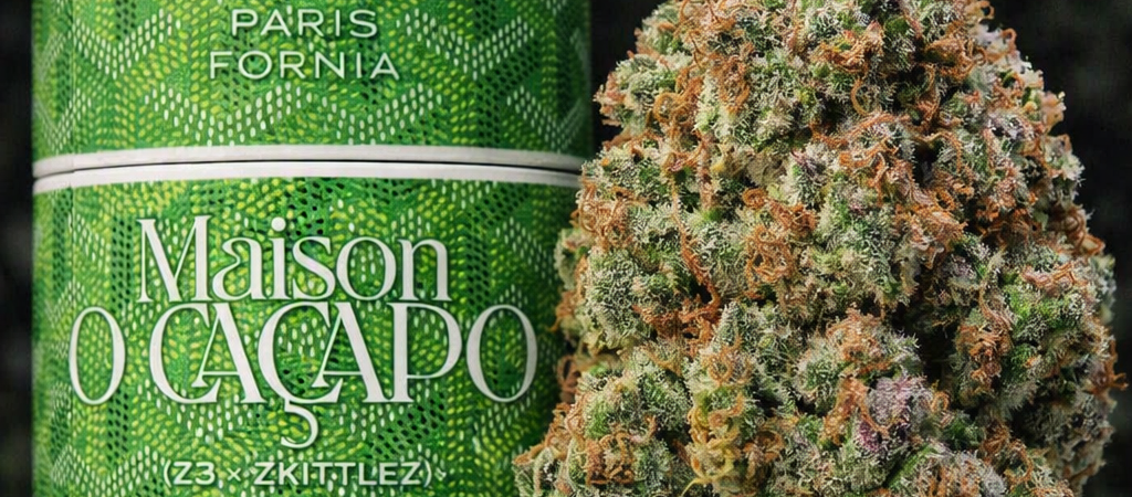 Green Zoyard: (Z3 × Zkittlez) × Zkittlez BX2 | Maison O Cacapo