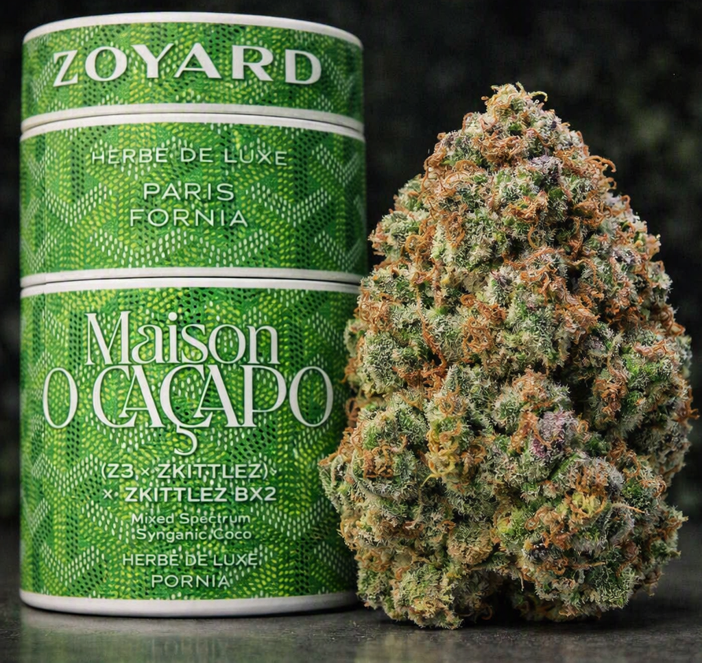 Green Zoyard: (Z3 × Zkittlez) × Zkittlez BX2 | Maison O Cacapo