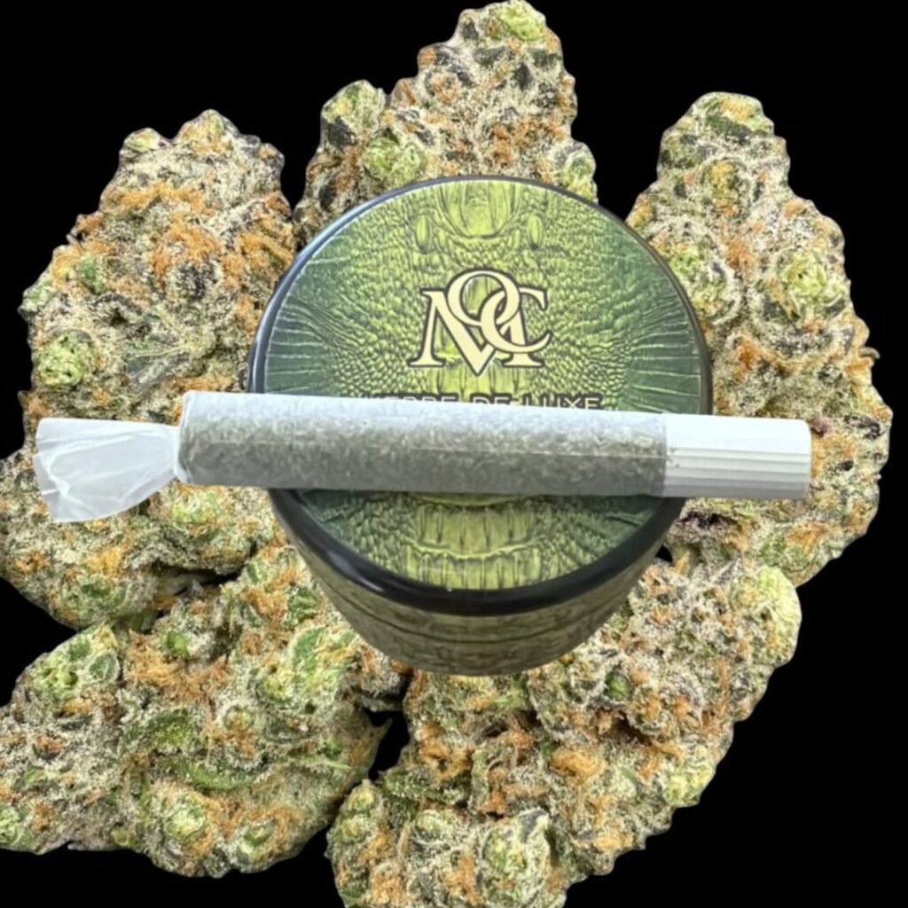 CROCO pre-roll resting on Maison O Cacapo jar lid surrounded by cannabis flower