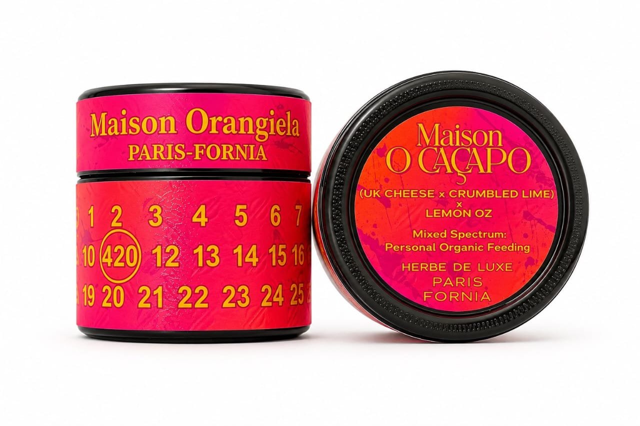 The ZARTIER Phenotype | Sunset Sherbet BX2 × Permanent Marker | Maison O Cacapo Journal #025