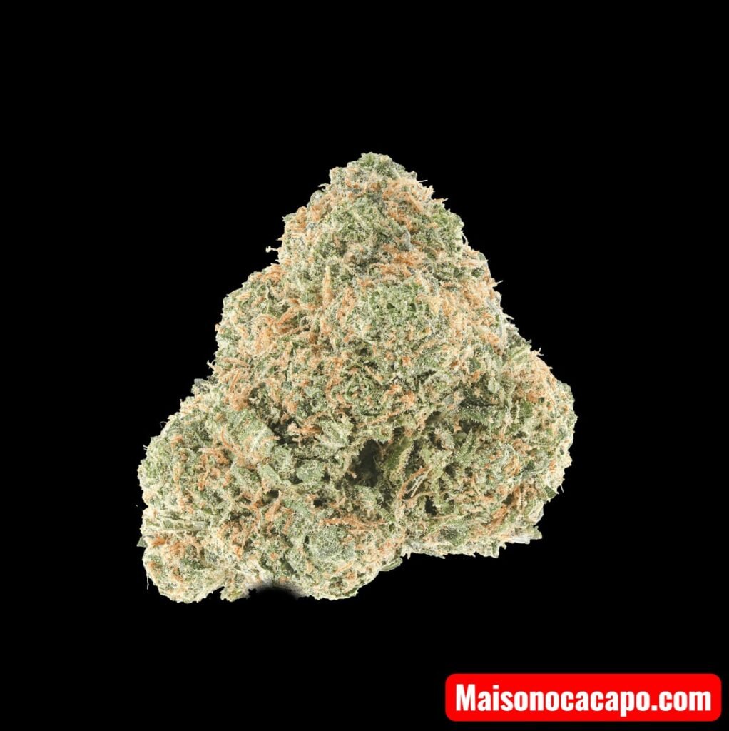 Close‑up of a dense cannabis bud with frosty trichomes and orange pistils, representing Maison O Caçapo’s premium flower craftsmanship.