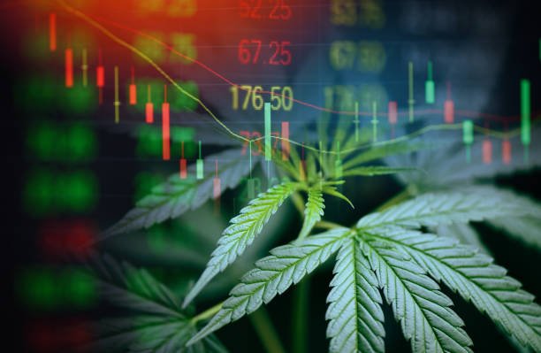 Cannabis leaf close‑up overlaid with digital stock market chart showing price movements and trend lines, symbolizing the intersection of cannabis industry and financial growth.