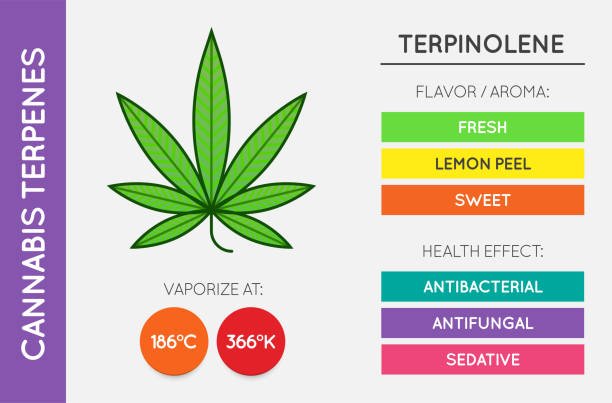 zermes premium cannabis [Flavor and aroma notes to be added — dominant notes, how the profile shifts from jar to burn.