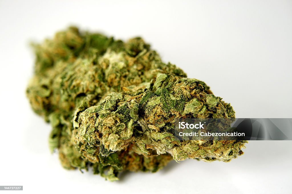 Close-up of dried cannabis flower bud on white background