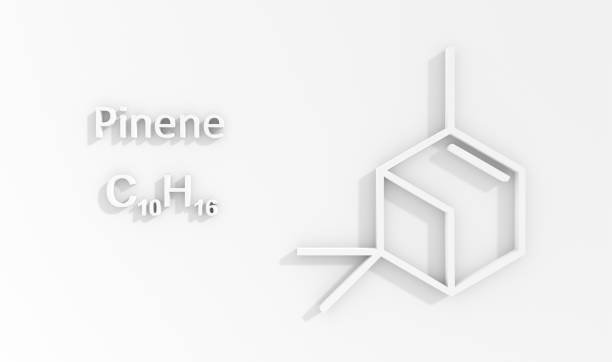 Minimalist 3D molecular structure of Pinene (C₁₀H₁₆) displayed in white geometric form on a light background.
