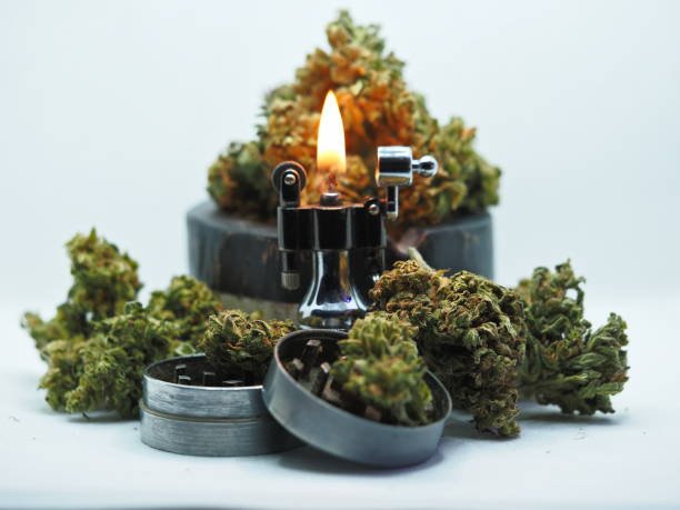 Cannabis buds arranged around a metal grinder and lit lighter on a white surface, showcasing dense green and orange trichome texture for Zushi Noire by Maison O Caçapo × The Tenco Herbe de Luxe collection.