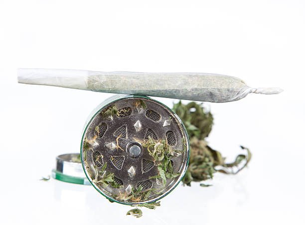 Close‑up of a metallic herb grinder filled with Croco (Lemon Oz × Lemon Tree) cannabis flower and a rolled joint resting on top. Represents Maison O Caçapo’s Paris‑Fornia Herbe de Luxe craftsmanship and synganic coco cultivation style.