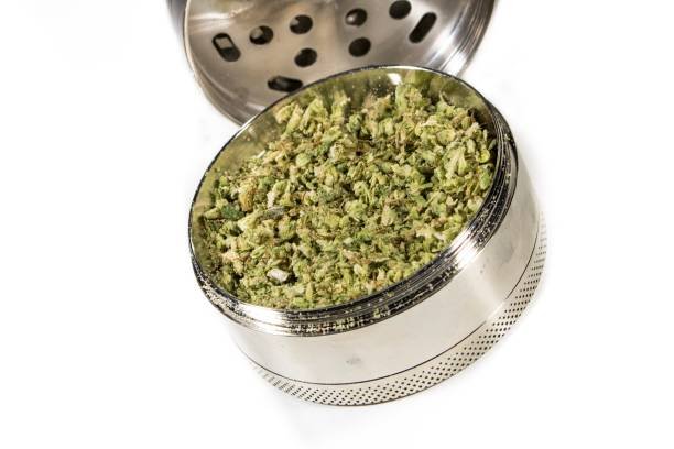 Buy Zelly (Toad Venom) Exotic Strain Online | Maison O Caçapo 2026 Guide
