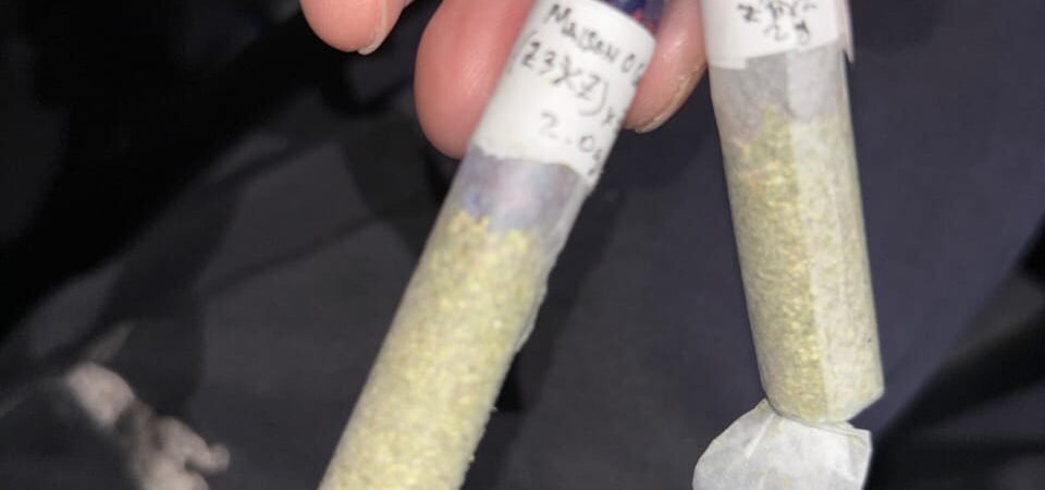 The Anatomy of a Hash Hole: Why Artisanal “Donut Joints” Rule Luxury Cannabis