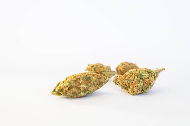 Close-up studio view of cured green cannabis flower buds isolated against a clean white background.