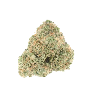 A macro photograph of a single, dense cannabis flower bud, isolated against a solid black background. The nug exhibits a light green color with a heavy coating of frosty trichomes and numerous thin, light orange pistils.