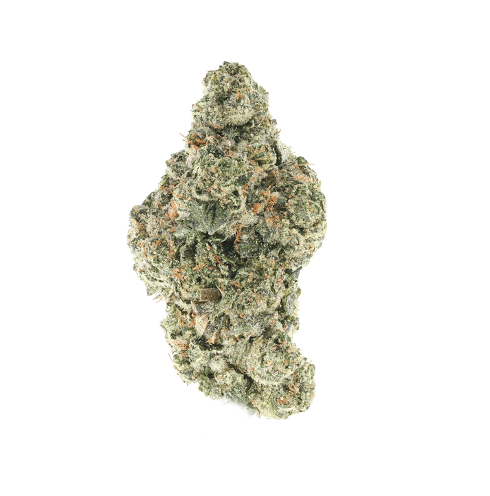 A high-resolution, professional studio photograph of a single, large, dense cannabis nug, based on image_2.png, floating against a clean white background. The nug retains its distinct light green color, heavy frosty trichome coverage, and interspersed thin orange hairs, but is perfectly illuminated to show maximum clarity and depth of the resin glands. The perspective is slightly adjusted to a 3/4 front view, offering a clear look at the complex structure and deep calyx formation without the partial blur from image_2.png. The focus is razor-sharp across the entire surface of the bud, which is free from the small black specks previously seen. The lighting is soft, diffused, and even, highlighting every crystalline detail. The bud casts a subtle, soft shadow directly beneath it on the white surface, giving it depth. The composition is centered and balanced.